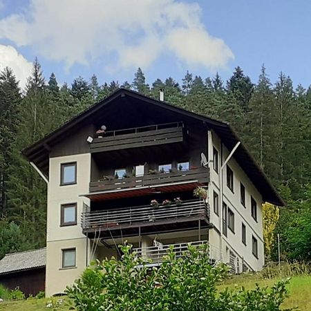 Ferienwohnung Tonbachtal Baiersbronn Ngoại thất bức ảnh